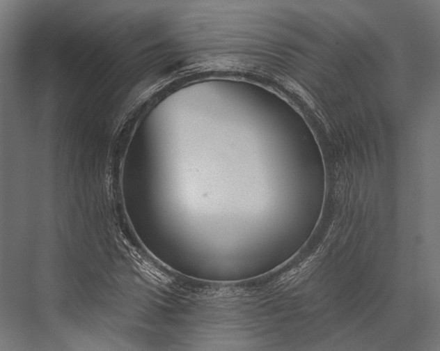 X0000076030922200610061414