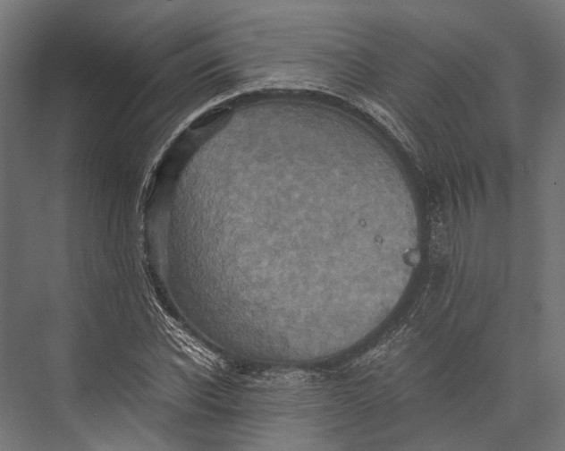 X0000076030926200610061414