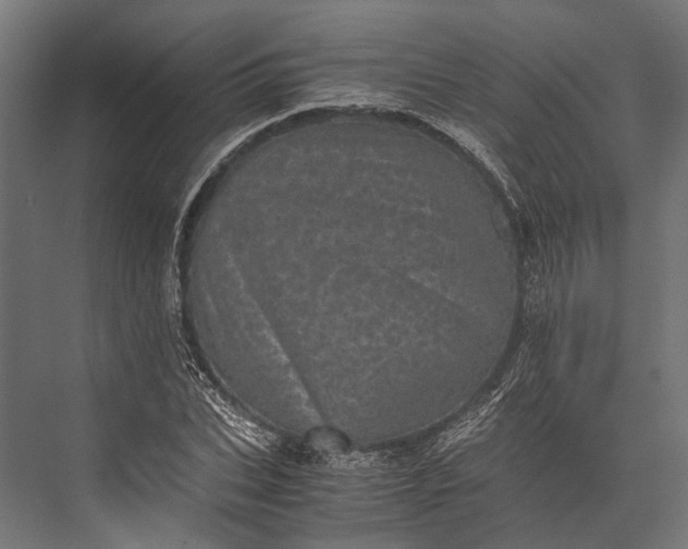 X0000076030927200610061414