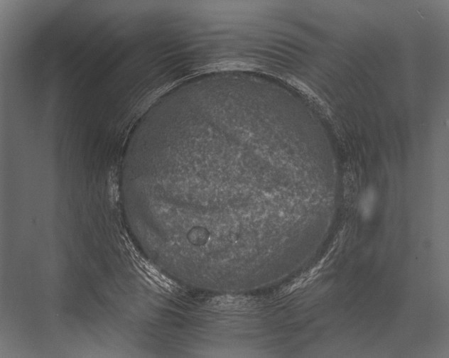 X0000076030929200610061414