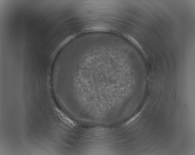 X0000076030930200610061414