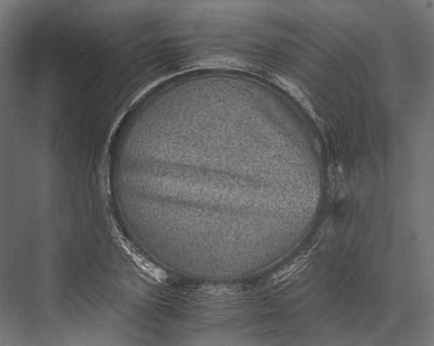 X0000076030931200610061414