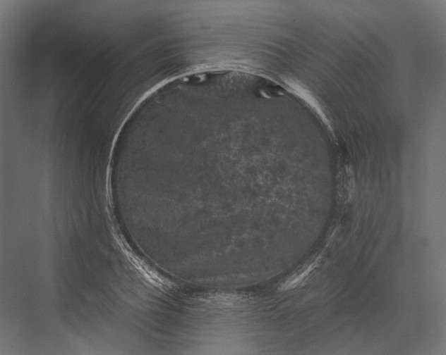 X0000076030932200610061414