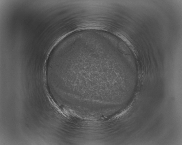 X0000076030933200610061414