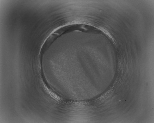 X0000076030934200610061414