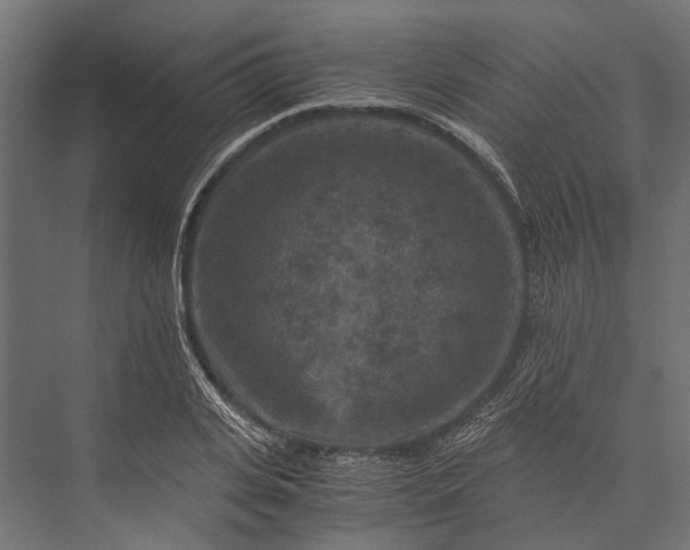 X0000076030935200610061414