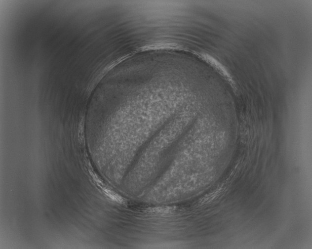 X0000076030937200610061414