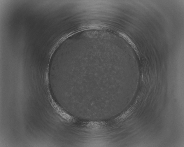 X0000076030938200610061414