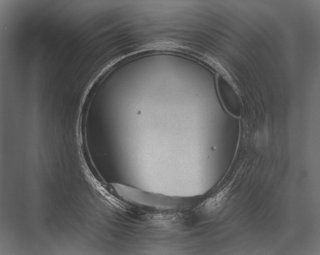 X0000076030939200610061414