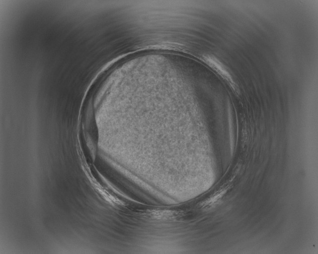 X0000076030940200610061414