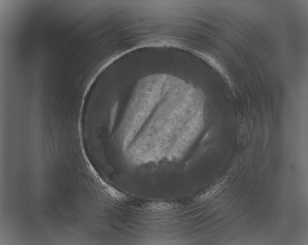 X0000076030943200610061414