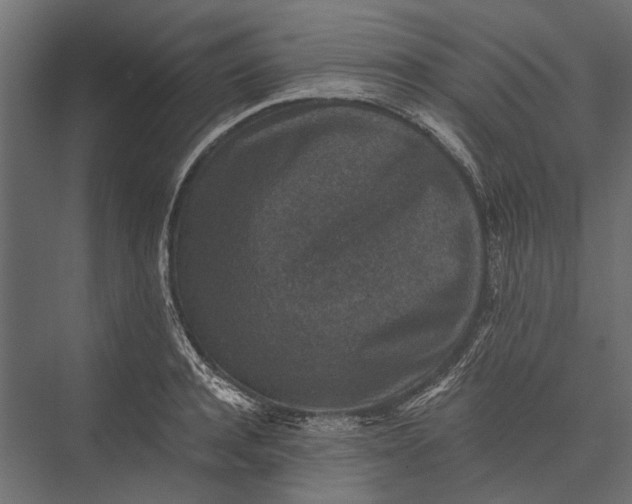 X0000076030944200610061414