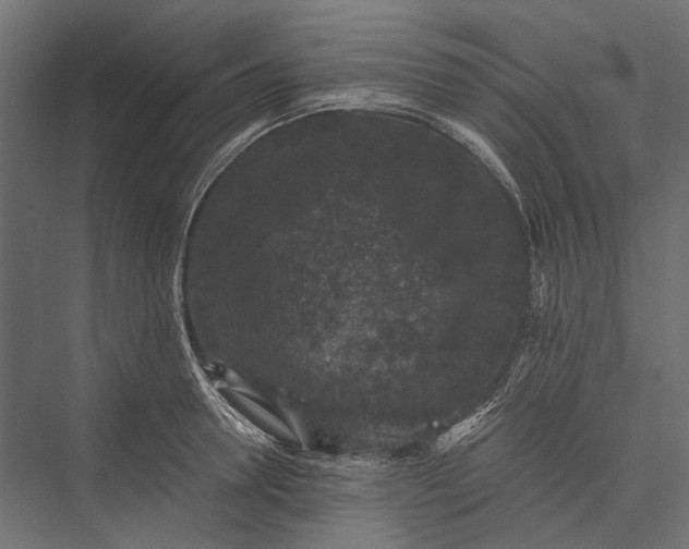 X0000076030946200610061414