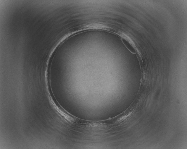 X0000076030947200610061414