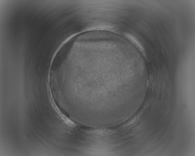 X0000076030948200610061414