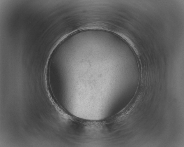 X0000076030949200610061414