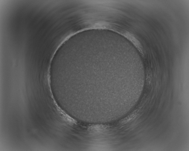 X0000076030950200610061414