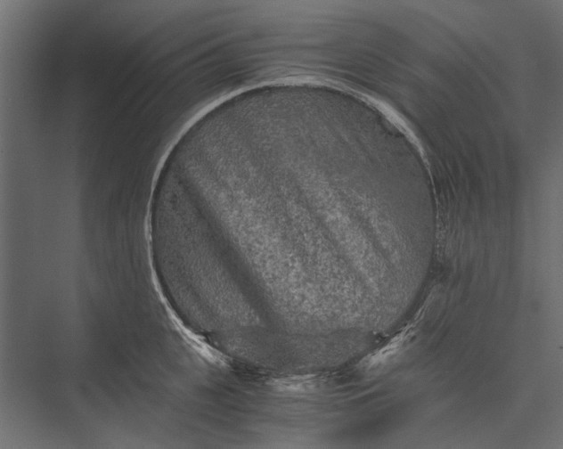 X0000076030951200610061414