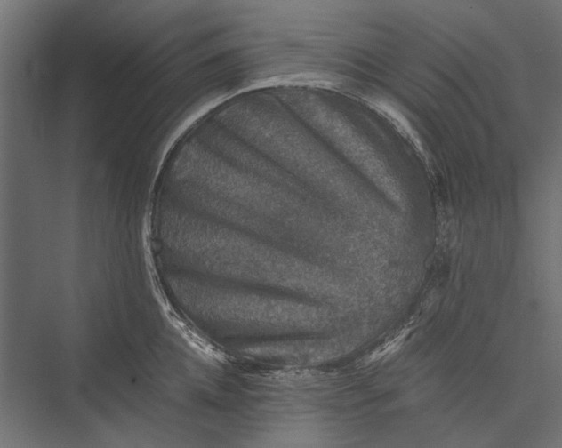 X0000076030952200610061414