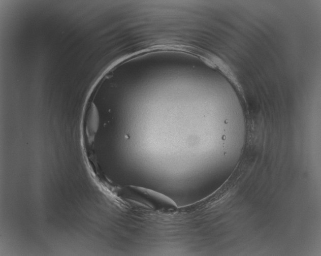 X0000076030955200610061415