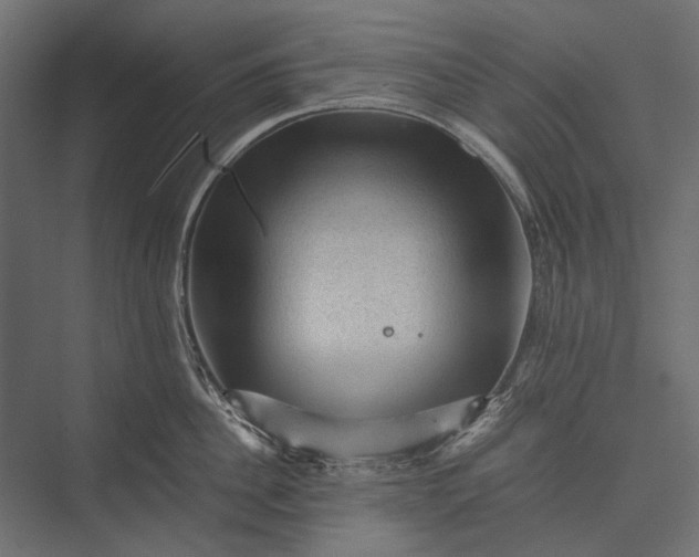 X0000076030956200610061415