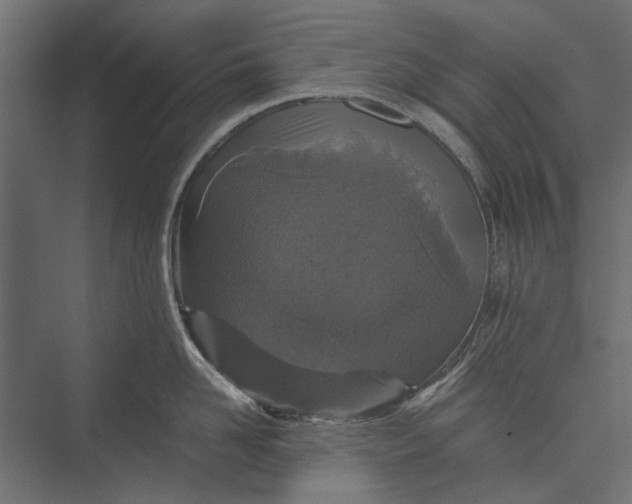 X0000076030958200610061415