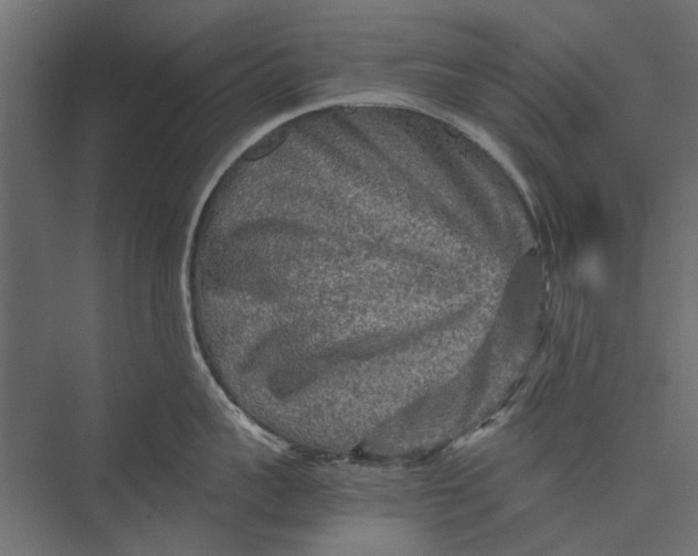 X0000076030959200610061415