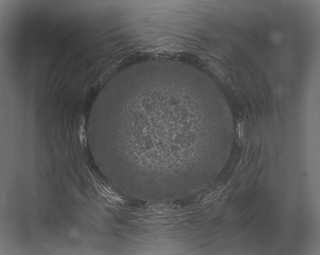 X0000076030963200610061414