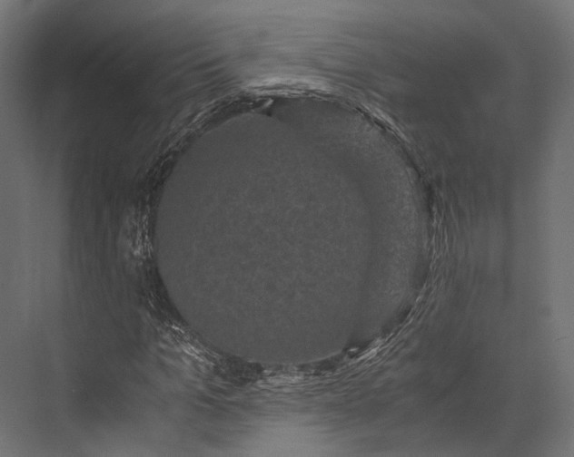 X0000076030965200610061414