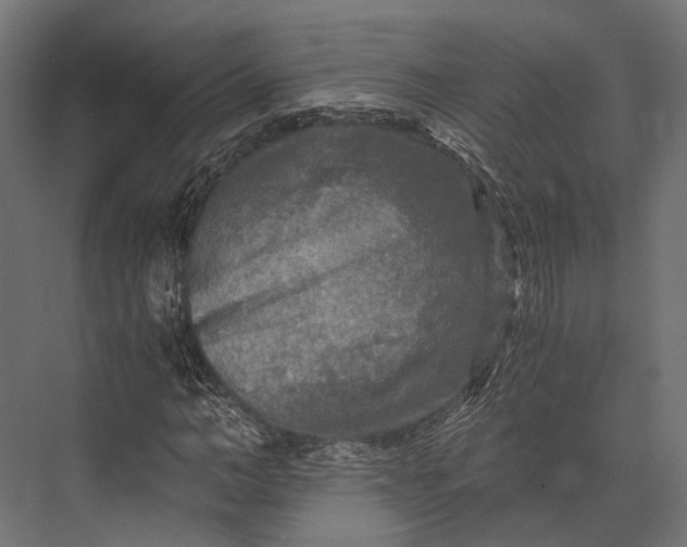 X0000076030966200610061414