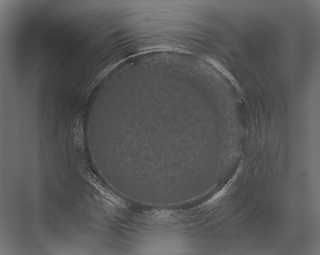 X0000076030969200610061414