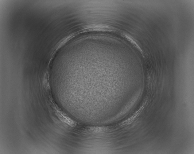 X0000076030970200610061414