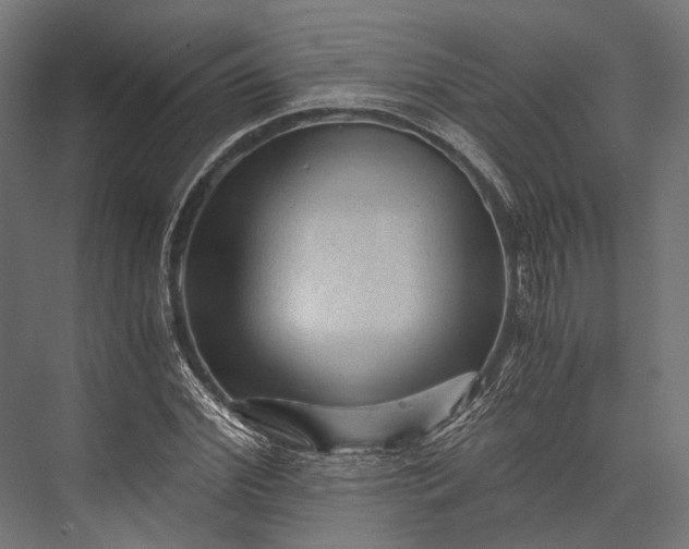 X0000076030972200610061414