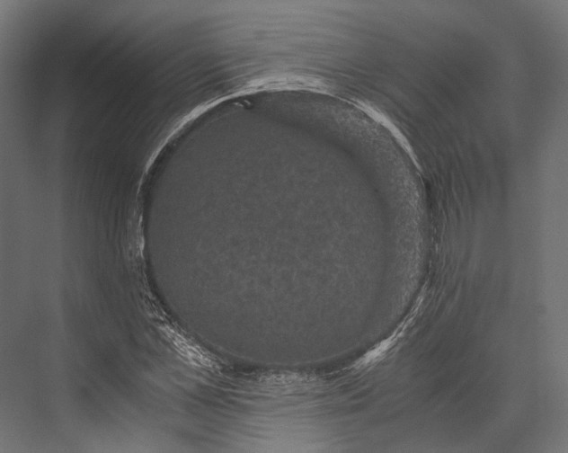 X0000076030973200610061414