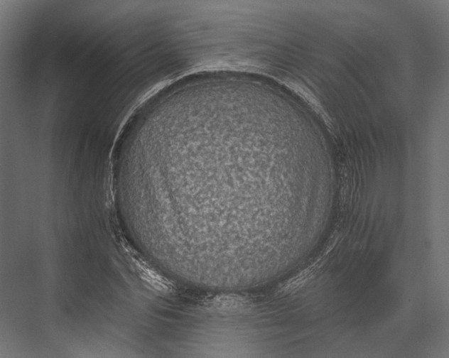 X0000076030974200610061414