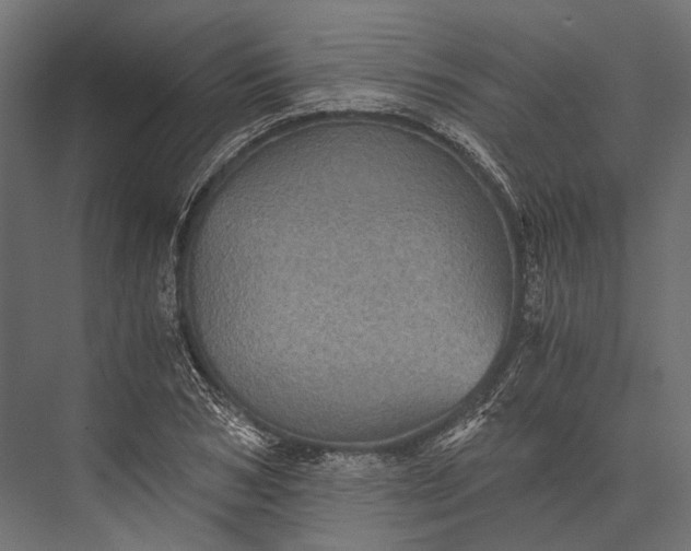 X0000076030978200610061414