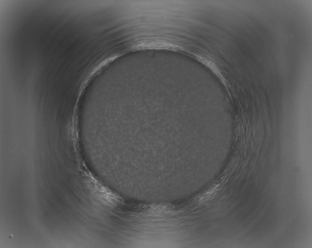 X0000076030979200610061413