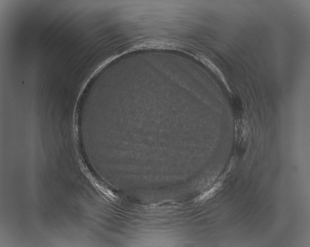 X0000076030981200610061413