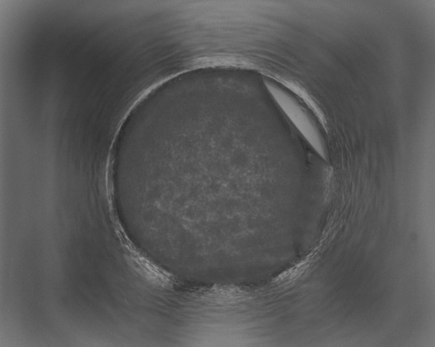 X0000076030983200610061413