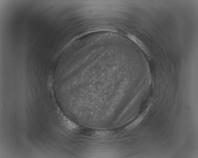 X0000076030985200610061413