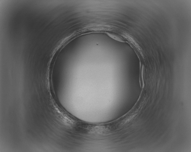 X0000076030986200610061413