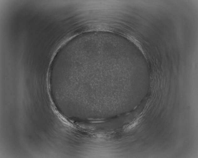 X0000076030987200610061413