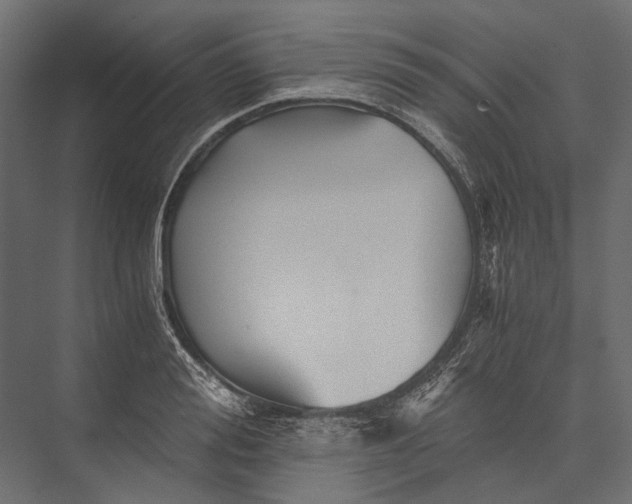 X0000076030988200610061413