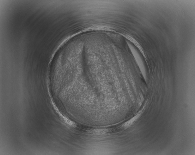 X0000076030989200610061413