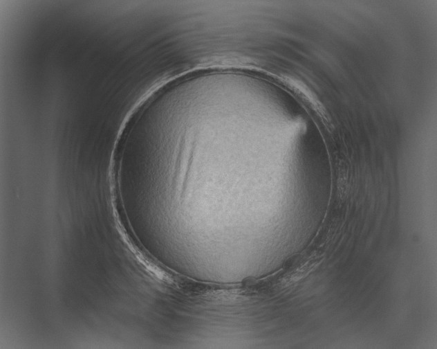 X0000076030990200610061413