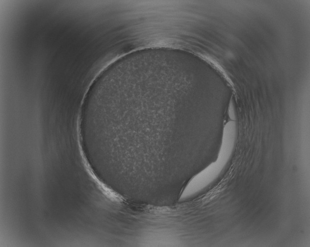 X0000076030991200610061413