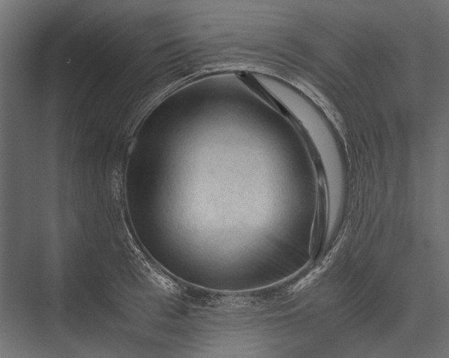 X0000076030993200610061413