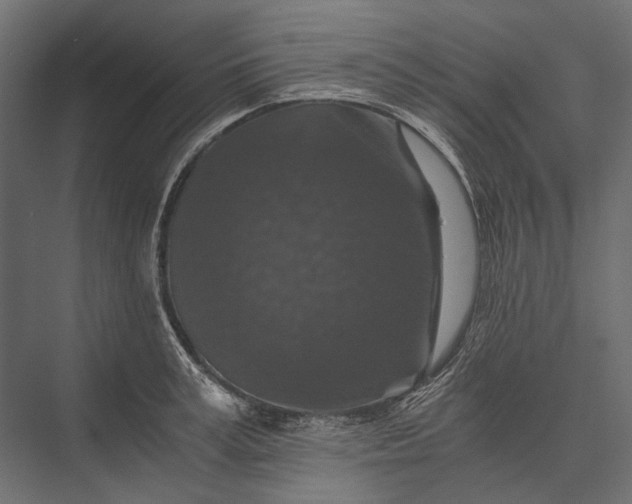 X0000076030995200610061413