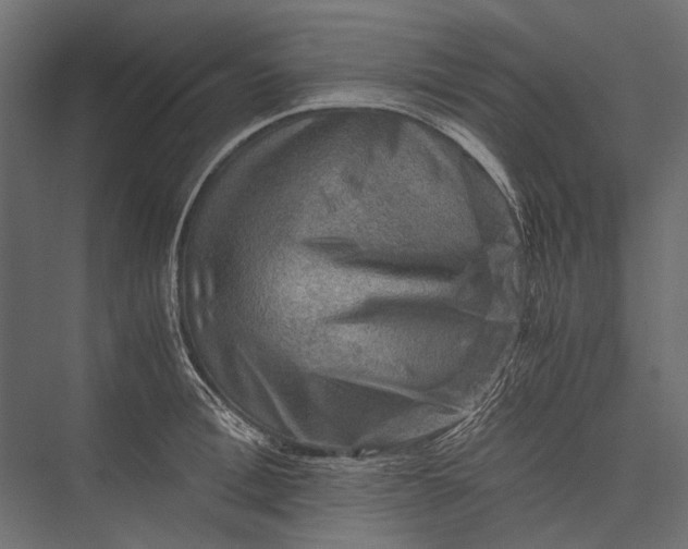 X0000076030996200610061413