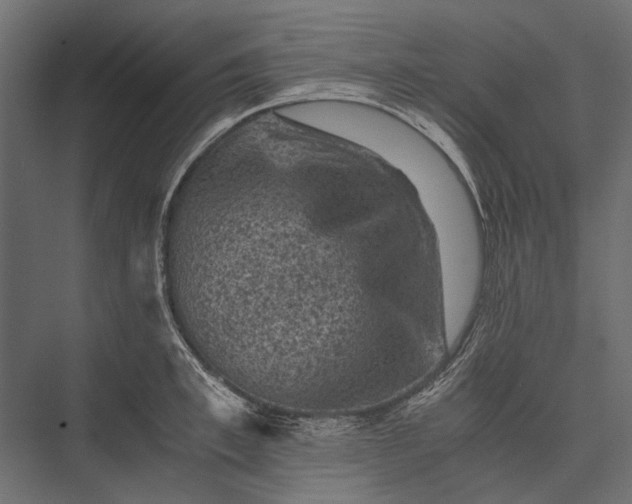 X0000076030997200610061413